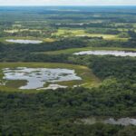 Pantanal registra redução de 65% no desmatamento em 2025, indica INPE