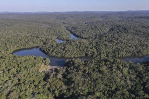 Parque Estadual do Morro Grande: uma caminhada que recomeça
