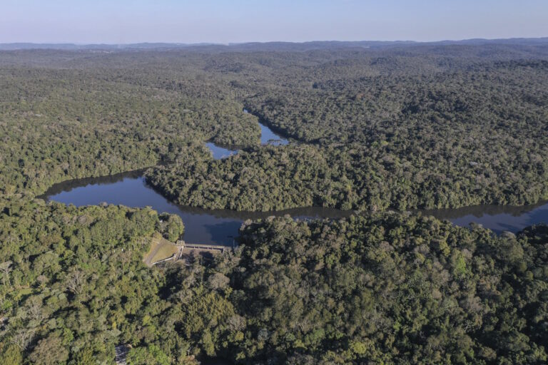 Parque Estadual do Morro Grande: uma caminhada que recomeça