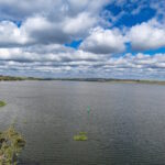 Qualidade da água na Mata Atlântica estagna e pontos com nível “bom” despencam