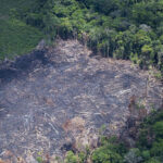 Redução do desmatamento com o Bolsa Verde é comprovado por estudo