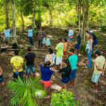 Software criado no AM apoia ecossistema de inovação em processos de propriedade intelectual