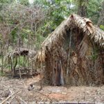 Território do ‘Índio do Buraco’ vai virar área de proteção integral
