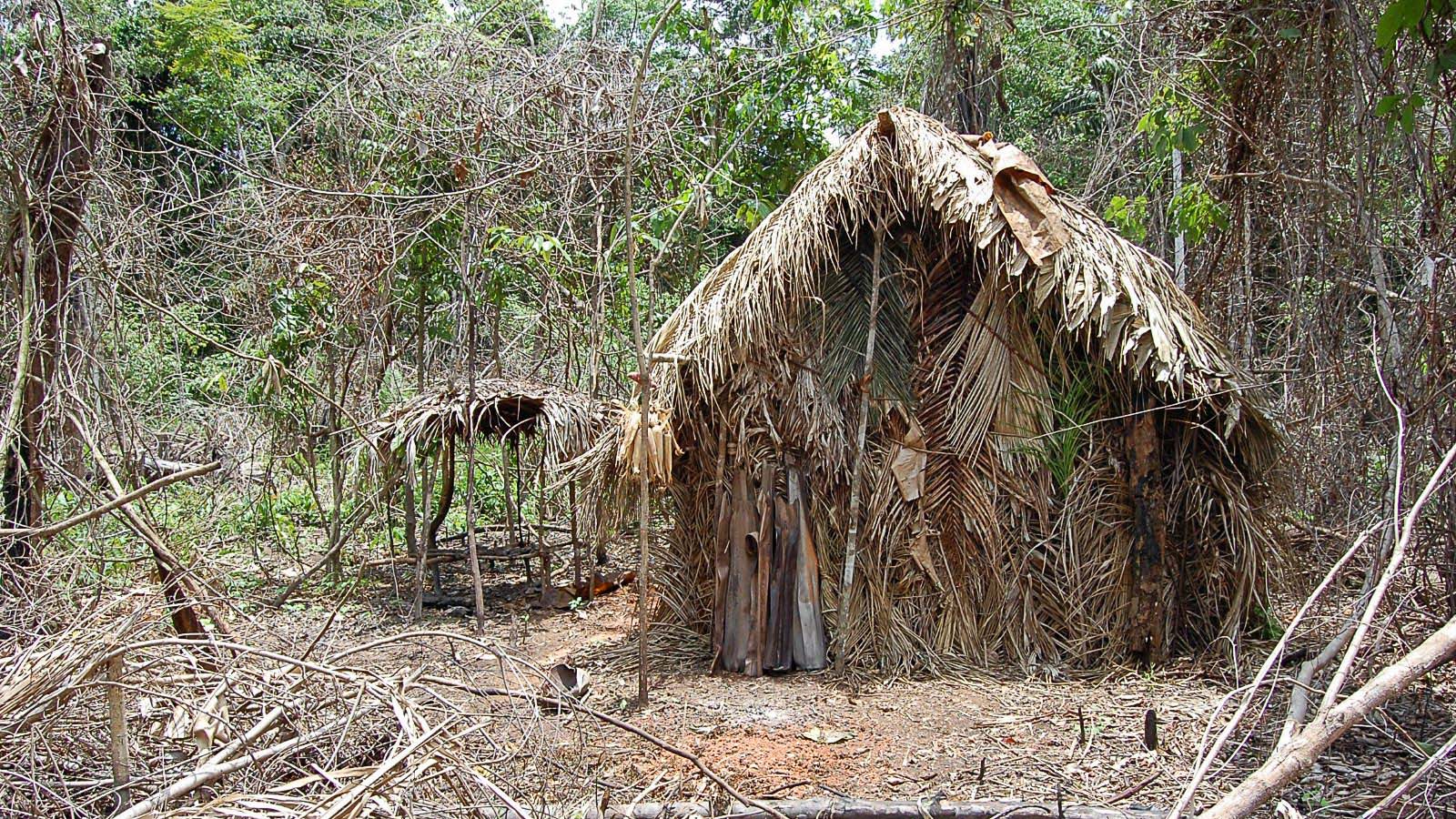 Território do ‘Índio do Buraco’ vai virar área de proteção integral