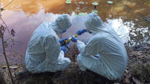 A infraestrutura na Amazônia tem riscos para a biossegurança