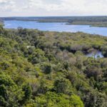 Amazônia tem capacidade de recuperação limitada