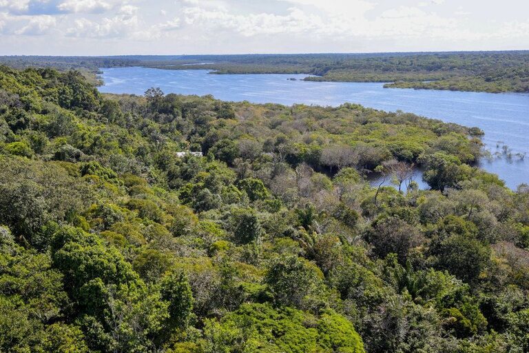 Amazônia tem capacidade de recuperação limitada