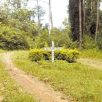 Assassinatos dobram e Amazônia concentra violência no campo, aponta relatório da CPT