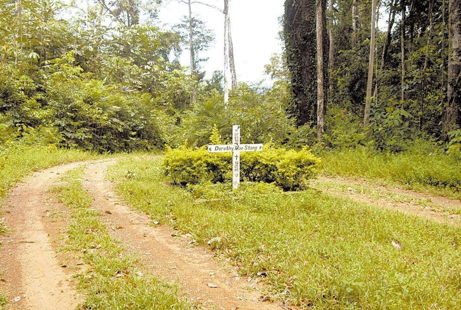 Assassinatos dobram e Amazônia concentra violência no campo, aponta relatório da CPT