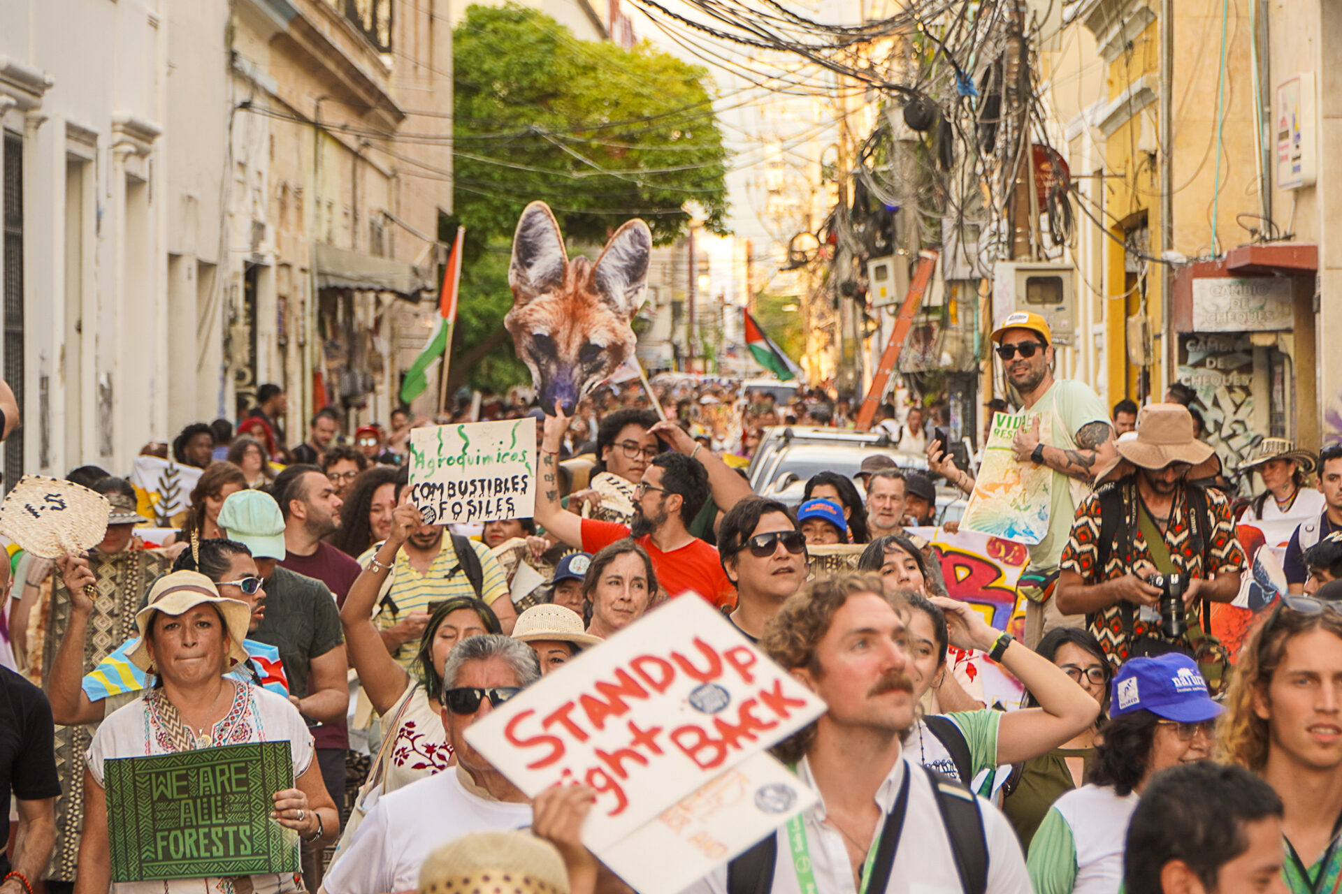 Ato em Santa Marta cobra fim da exploração de combustíveis fósseis