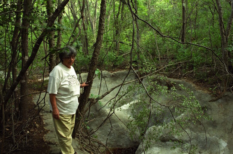 Cientistas descobrem planta na Caatinga e homenageiam Niède Guidon
