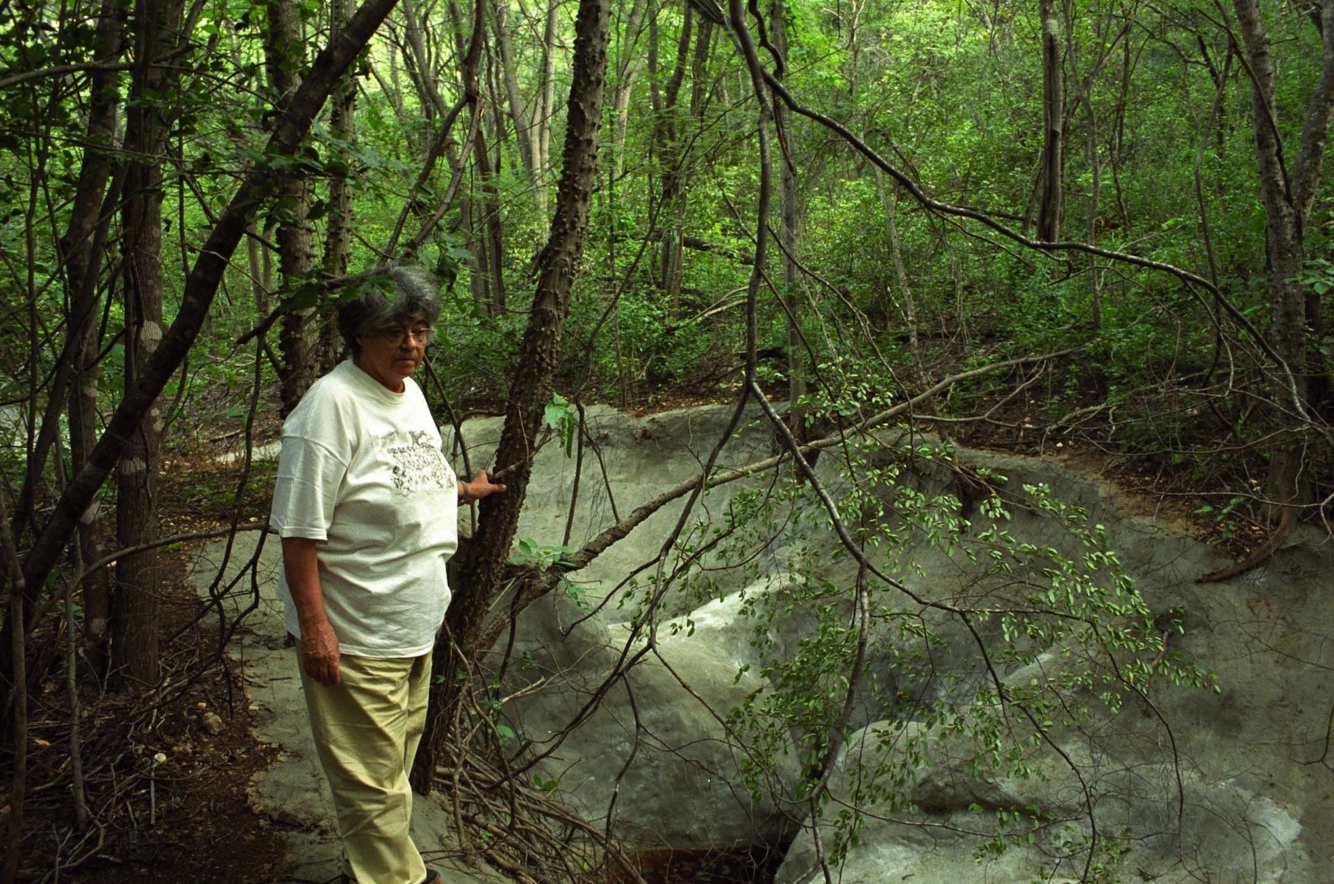Cientistas descobrem planta na Caatinga e homenageiam Niède Guidon
