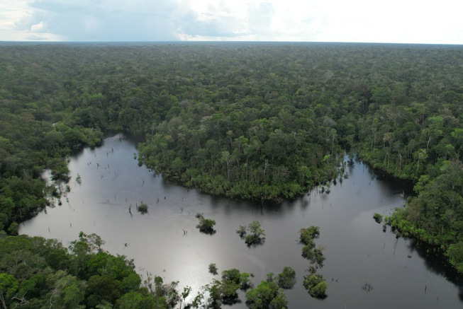 Concessão inédita em gleba pública testa novo modelo de gestão para florestas na Amazônia