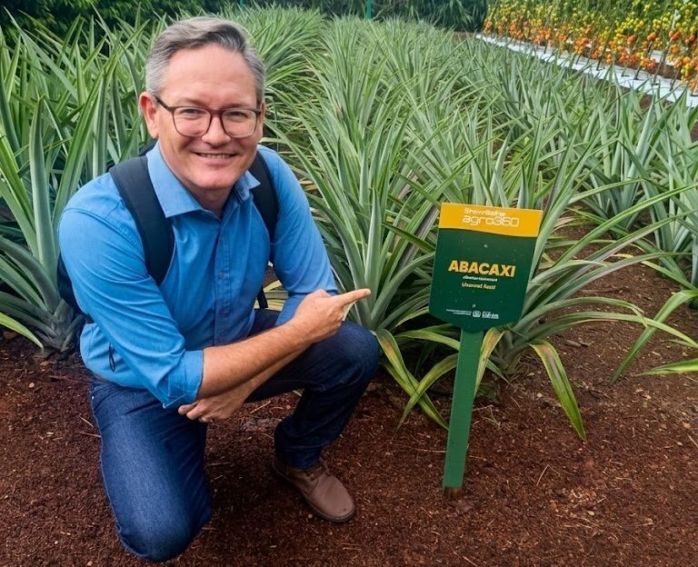 Duas novas cultivares de abacaxi adaptadas são lançadas por pesquisadores da Unemat em Mato Grosso