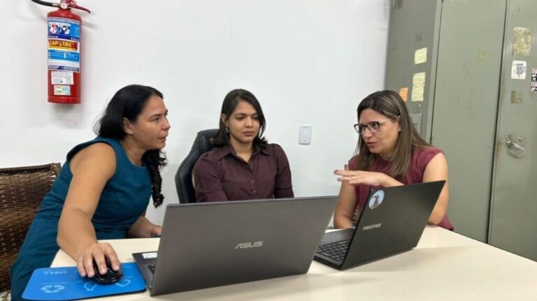 Estudo da UFMT aponta melhorias na produção de carne bovina