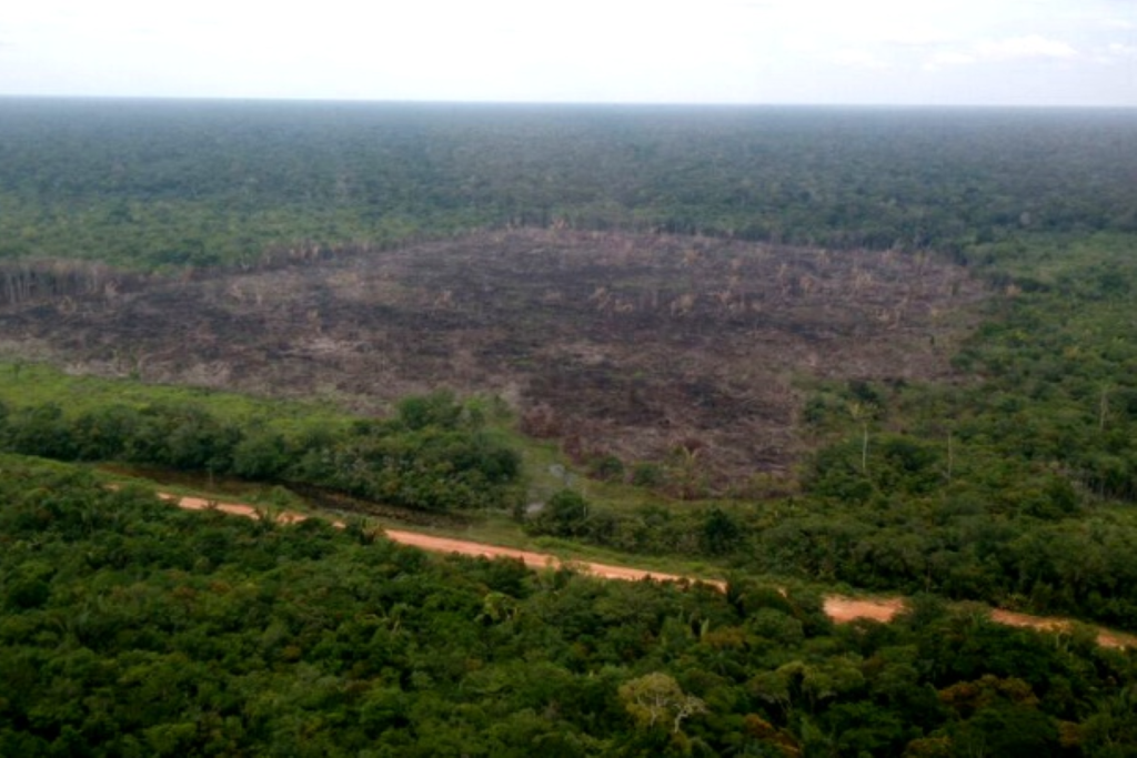 TRF1 derruba liminar, libera licitações da BR-319 e amplia alcance da decisão