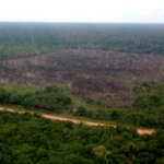 Governo acelera obras na BR-319 antes de resolver entraves ambientais