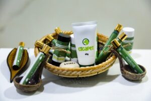 Ifac e Ufac depositam pedido de patente de gel-creme fitoterápico para regeneração de pele em animais domésticos