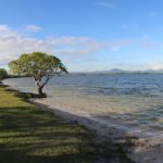 Lago Caracaranã, em Roraima: guia completo com dicas