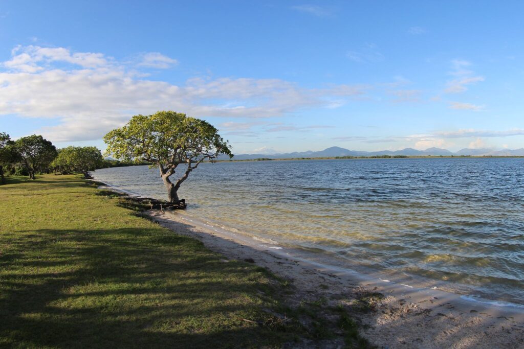 Lago Caracaranã, em Roraima: guia completo com dicas