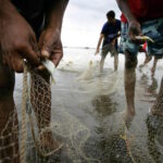 Lei que proíbe pesca em Mato Grosso não tem base científica, diz WWF-Brasil