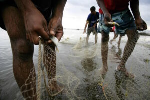 Lei que proíbe pesca em Mato Grosso não tem base científica, diz WWF-Brasil