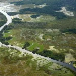 MPF recomenda suspensão imediata da certificação e venda de créditos de carbono no Pará