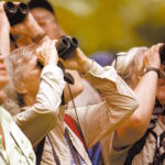 Maior evento de observação de aves do mundo contará com etapa no norte do Paraná