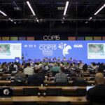 Montes submarinos: o elo invisível que pode redefinir o futuro da conservação marinha