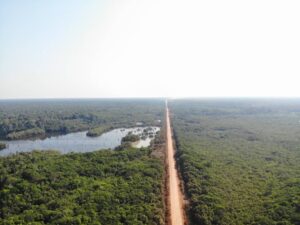 Novos editais da BR-319 são contestados na Justiça por possíveis ilegalidades ambientais