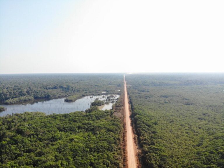 Novos editais da BR-319 são contestados na Justiça por possíveis ilegalidades ambientais