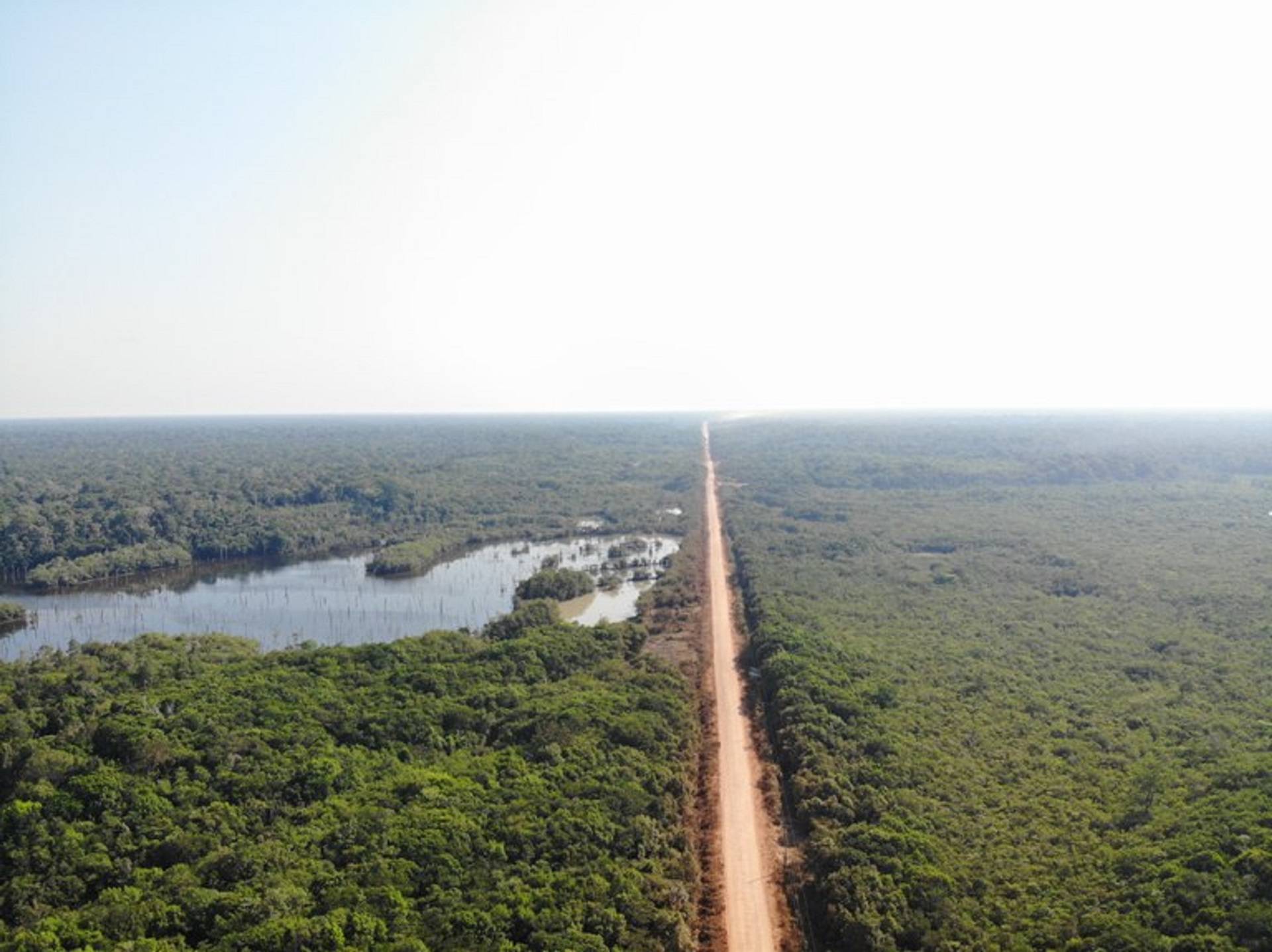 Novos editais da BR-319 são contestados na Justiça por possíveis ilegalidades ambientais