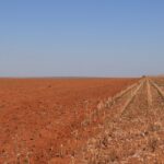 O jeito inglês de matar subsídios agrícolas