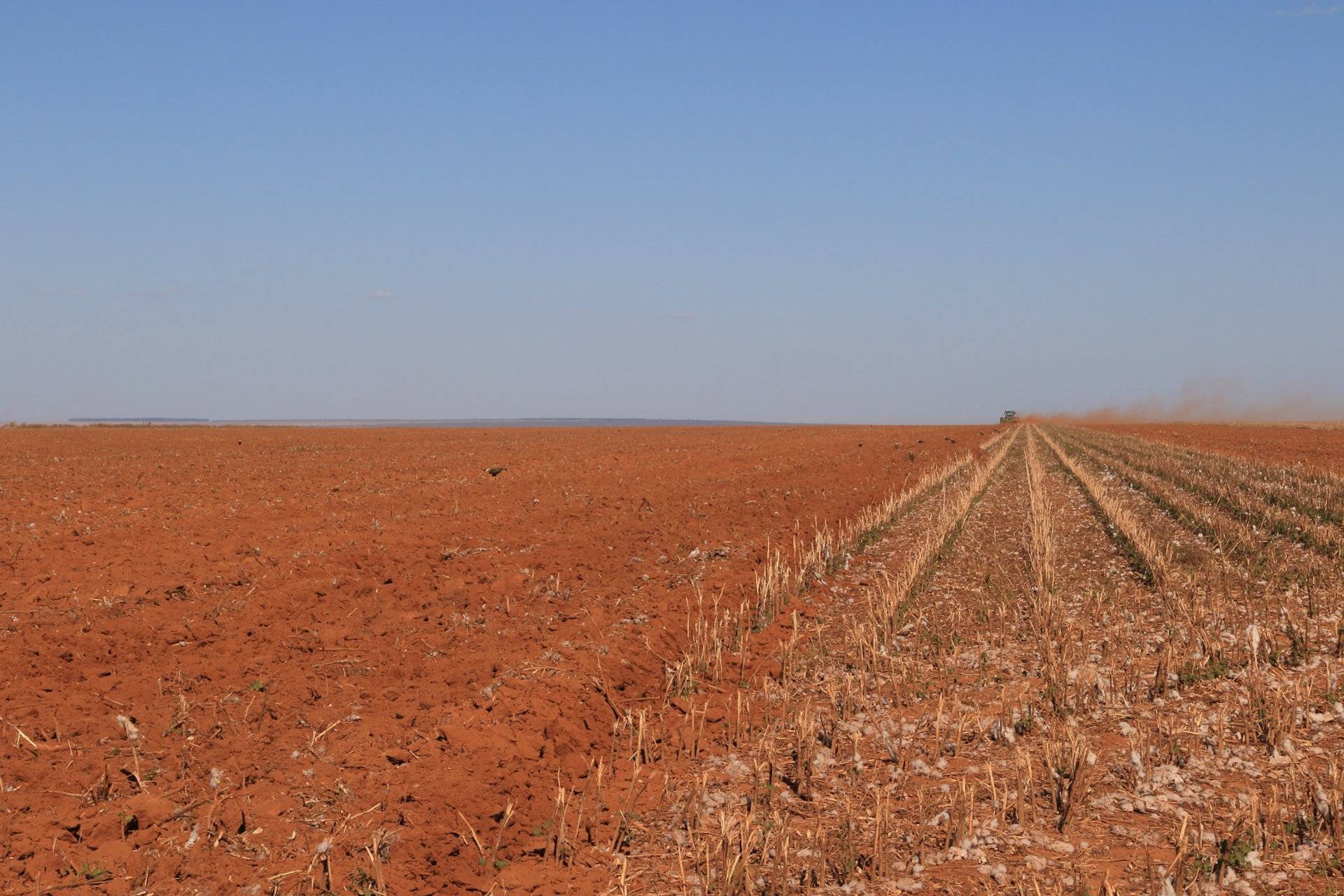 O jeito inglês de matar subsídios agrícolas