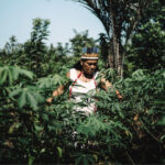 Plantar para existir; regar para permanecer