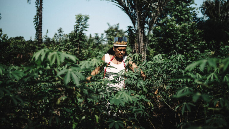 Plantar para existir; regar para permanecer