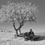 Poeta rondoniense lança livro sobre a “errância” humana