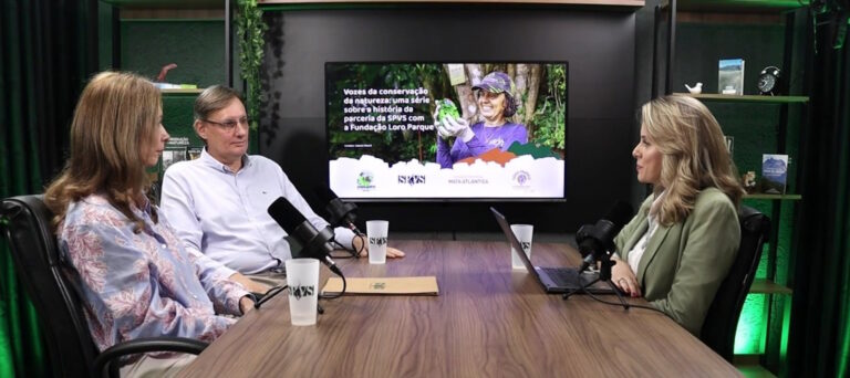 SPVS lança videocast sobre parceria internacional que protege papagaios ameaçados na Mata Atlântica