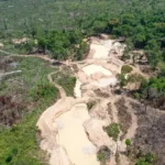 APA Triunfo do Xingu é a área protegida mais pressionada pelo desmatamento