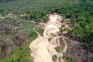 APA Triunfo do Xingu é a área protegida mais pressionada pelo desmatamento