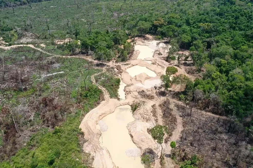 APA Triunfo do Xingu é a área protegida mais pressionada pelo desmatamento