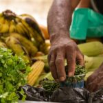 Alimentação vegetal une proteção à saúde humana, aos animais e ao meio ambiente