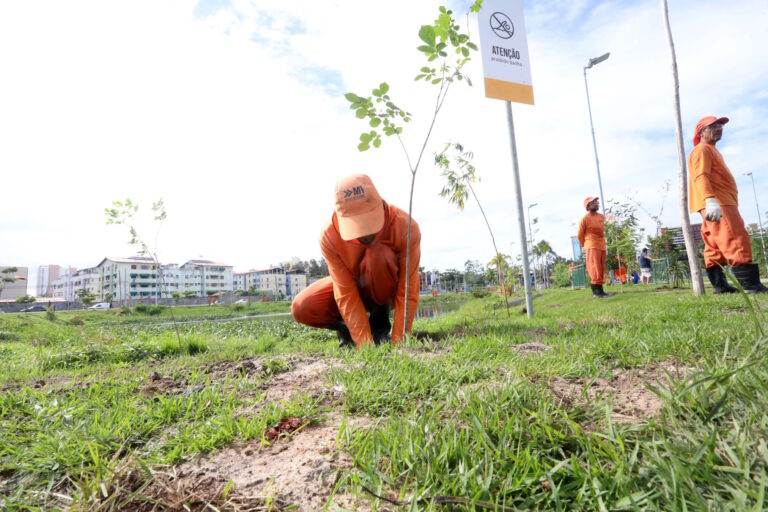 Arborização urbana esbarra na falta de continuidade das prefeituras
