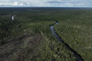 Brasil reduz desmatamento em 2025, mas Cerrado ainda concentra perdas