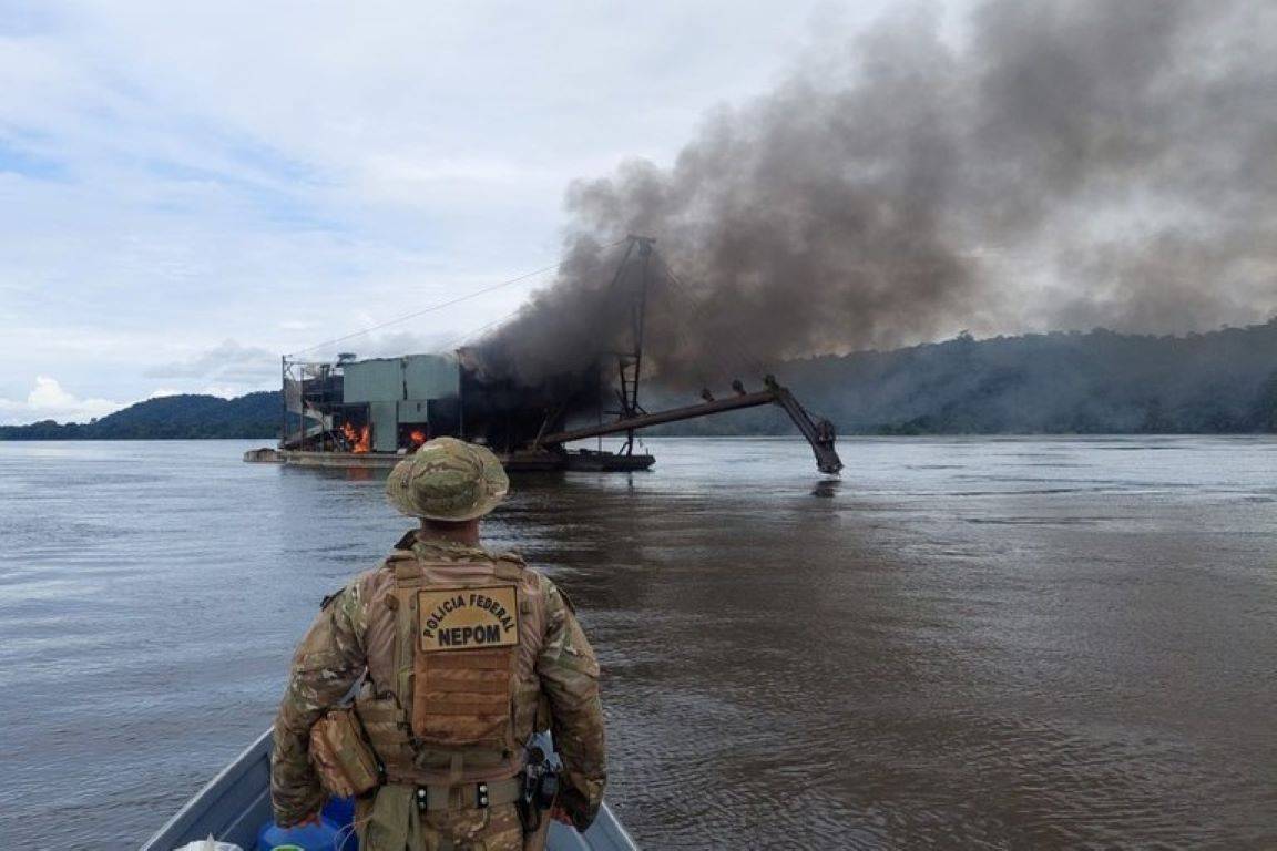 Câmara proíbe embargo remoto de área desmatada sem vistoria prévia