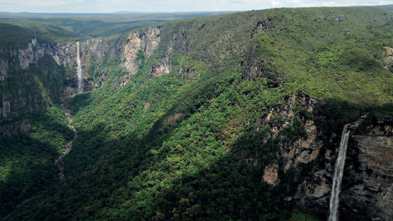 Campanhas anti-demarcação miram TIs do Alto Rio Negro