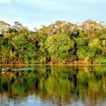 Comunicação ambiental deve trabalhar para conscientizar a população pela preservação da natureza