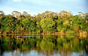 Comunicação ambiental deve trabalhar para conscientizar a população pela preservação da natureza