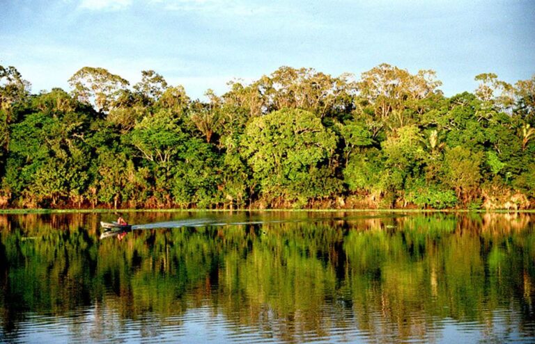Comunicação ambiental deve trabalhar para conscientizar a população pela preservação da natureza