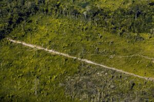 Conselho Monetário Nacional adia exigência ambiental para concessão de crédito rural